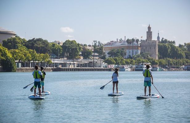 Seville: Paddle Surf Route and Class