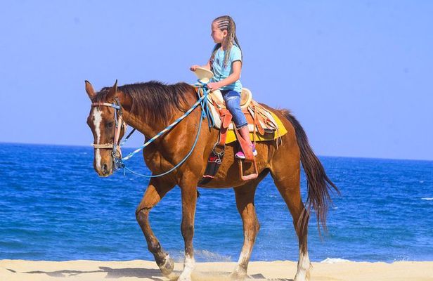 Los Cabos - COMBO Horseback Riding & ATV Tour