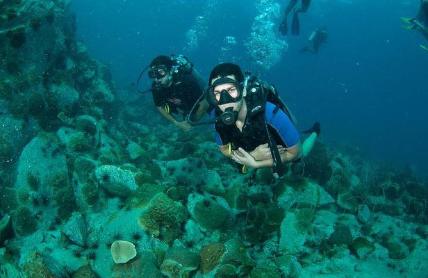 Scuba Diving Day Trip at Koh Chang – 2 Dives
