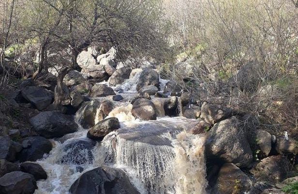 Astronomic heritage of Soviet Armenia, Orgov and Byurakan
