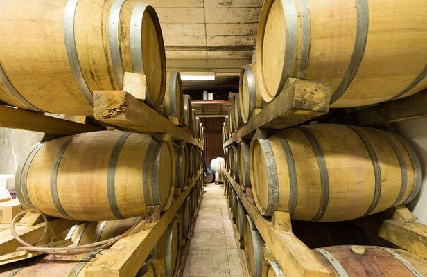 Konavle wine tasting tour from Dubrovnik with 2 vinery's