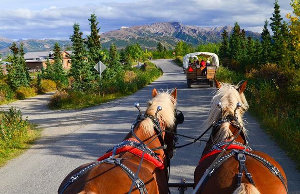 Horse-Drawn Covered Wagon Ride with Backcountry Dining