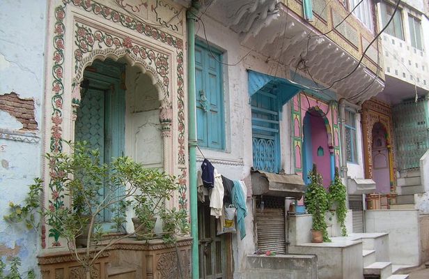 Vegan Food and walking tour in Delhi