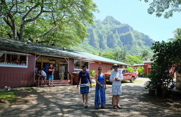 Circle Island Tour with Waimea Waterfall