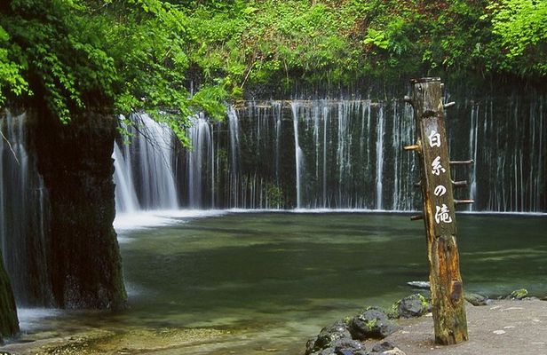 Relax and refresh in Karuizawa Forest! Shinanoji down trekking around two people