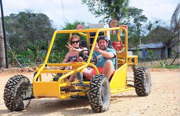 Full-Day Adventure: 4x4 Experience, Snorkeling Cruise, Sharks & Rays