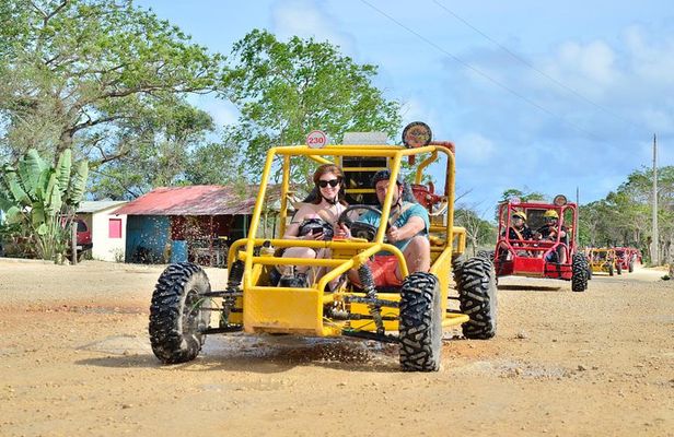 Full-Day Adventure: 4x4 Experience, Snorkeling Cruise, Sharks & Rays