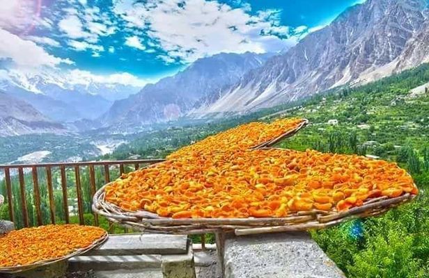 08 Days Autumn Trip to North Pakistan (08D 07N)