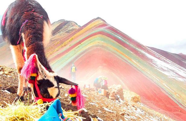 Magical Cusco and Machu Picchu Tour in 6-days with Hotel