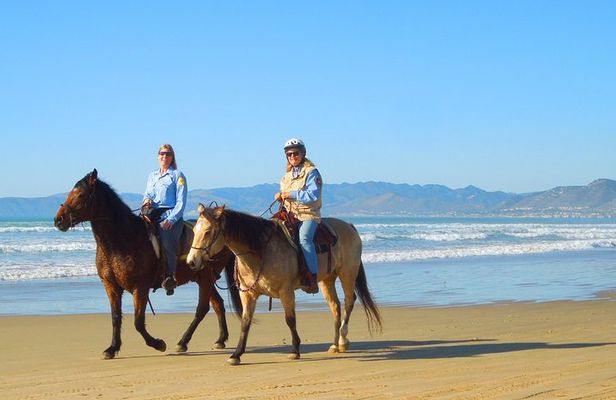 Horseback Ride & Alcatraz Prison Tickets