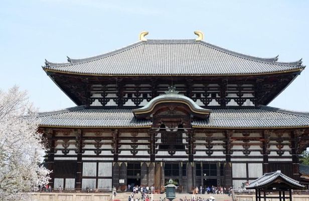 Nara Private Tour by Public Transportation from Osaka