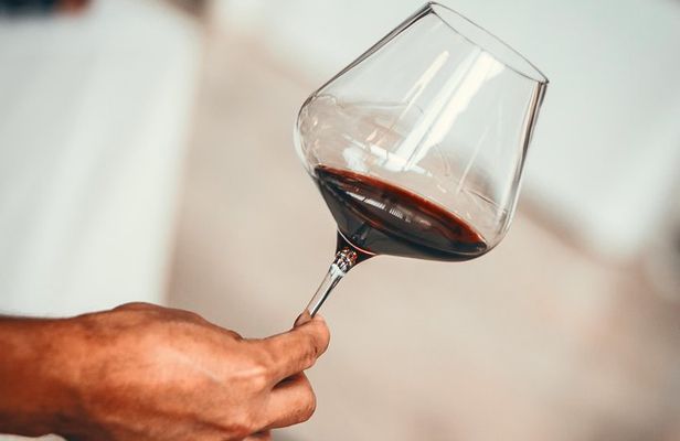 Medoc Region Wine Day Trip with Vineyard Visits & Tastings from Bordeaux