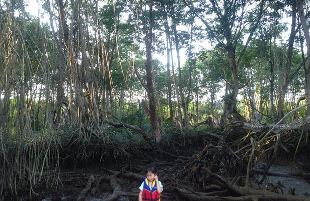 Private Proboscis Monkey, Water Village & Bandar by Night Tour