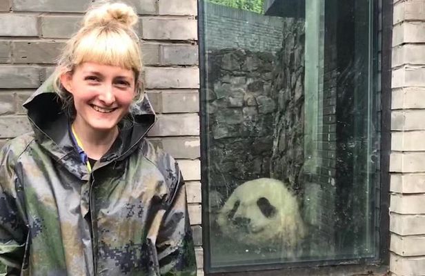 Dujiangyan Panda Volunteering Experience with Lunch