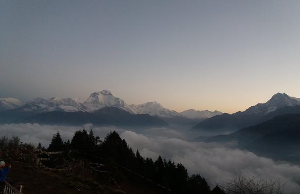 Annapurna: 2 Days Poon Hill Trek from Pokhara