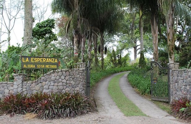 Complete Lunch in our house Hacienda La Esperanza