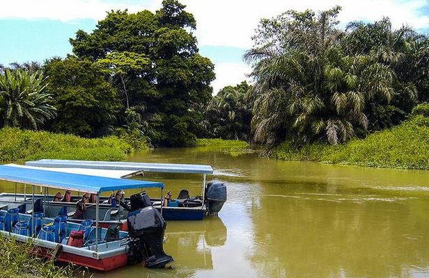 4-Day Adventure in Tortuguero National Park