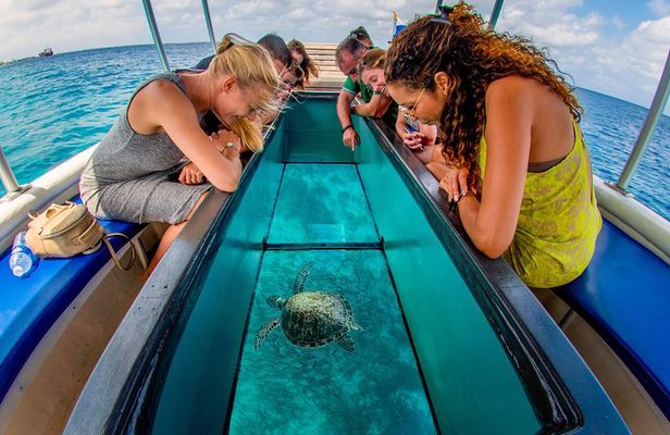 Private Glass bottom reef tour to Klein Bonaire