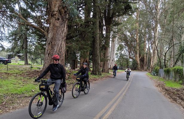 Behind-the-Scenes Food and Wine E-Bike Tour