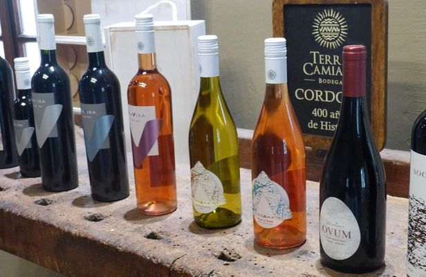 PRIVATE TUR: Caroya WineTour HalfDay