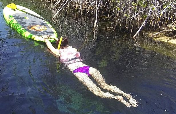 Paddleboard Cenote Tour