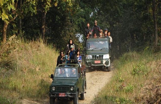 Chitwan Jeep Safari
