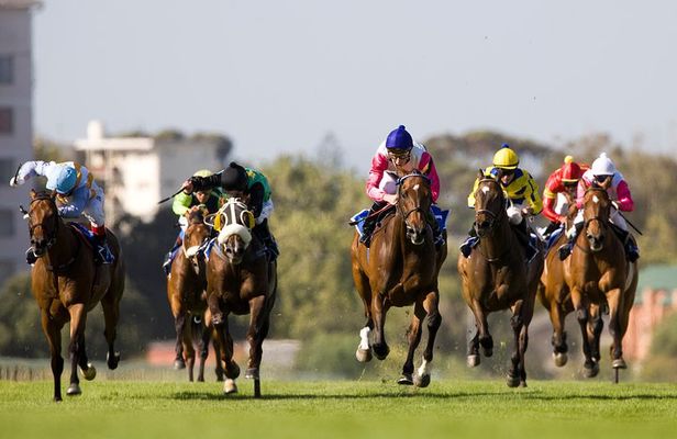 Kenilworth Raceday Tour