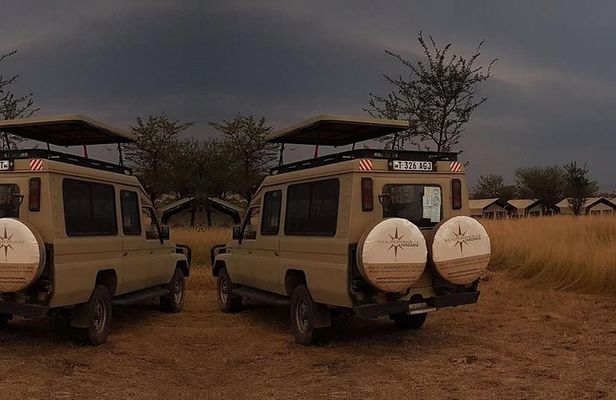 3 Day Lake Manyara, Ngorongoro crater, Tarangire Safari