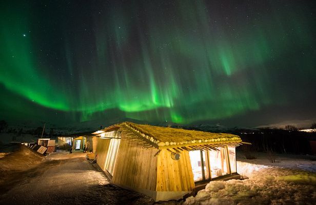 Northern Lights Husky Visit