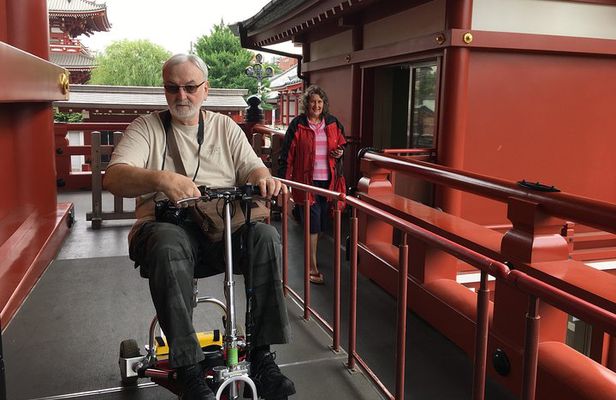 Full-Day Accessible Tour of Tokyo for Wheelchair Users