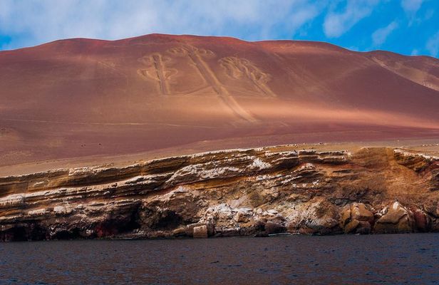 Full Day Group Tour Paracas and Ica from Lima