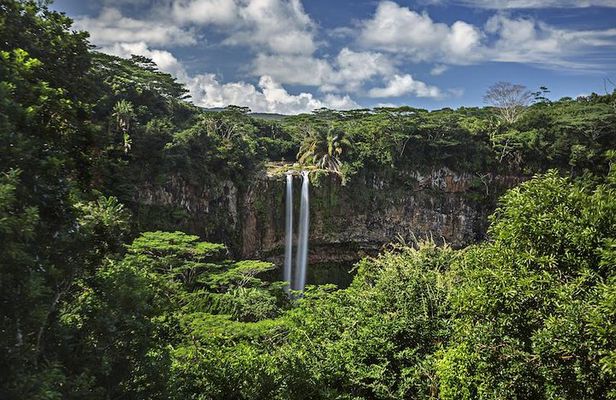 Exotic South: Journey into the Nature (Full-Day Tour incl Lunch & Ebony Forest) 