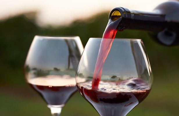Wine Tour in Kakheti, Telavi town, Georgia