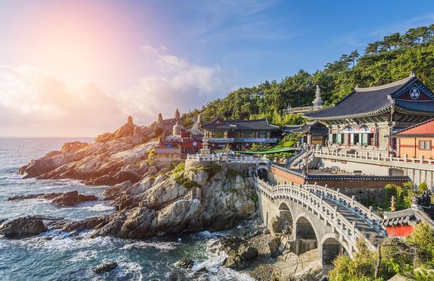 Full Day Private Busan Highlight Tour with Licensed Guide
