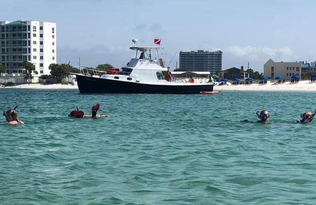 Destin: Private Snorkel/Shelling/Eco Excursion for Up to 28