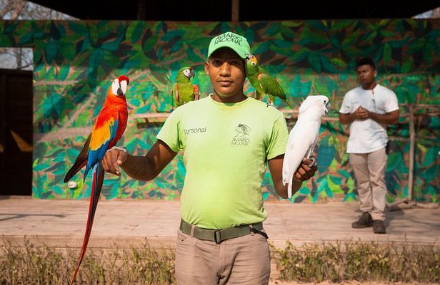 Tour al Aviario Nacional