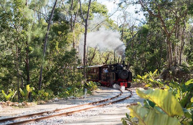 Victorian Steam Railway to Cherry Tree Hill + Great House Tour