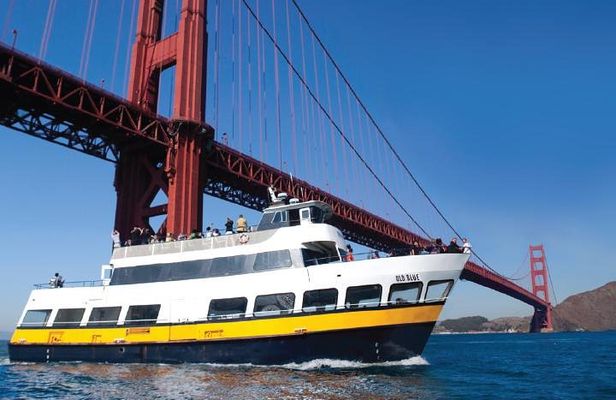 Bus & Boat Adventure