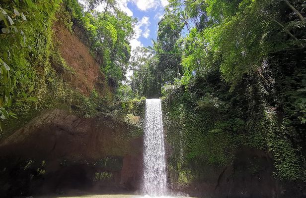 Ubud Village, Tegalalang Rice Terrace Swing, Tirta Empul Temple and Waterfafall