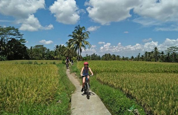 Ubud Eco Culture Cycling Exploration