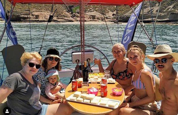 Whale and Dolphin Small Group Sailing from Tenerife South
