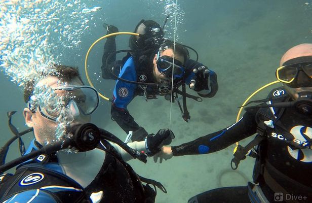 Double Shore Dive (certified divers)