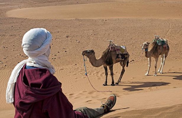 2-Day Zagora Desert Trip from Marrakech