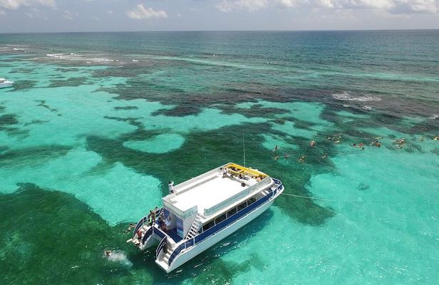 Island Contoy Adventour & Buffete & Isla Mujeres only from Cancun