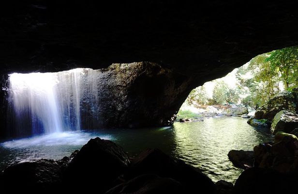 Kangaroos, Rainforest & Waterfalls Experience - Small Group