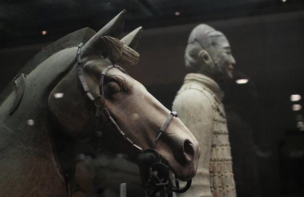 Private Tour:Terracotta Warriors,City Wall and Foodie Tour