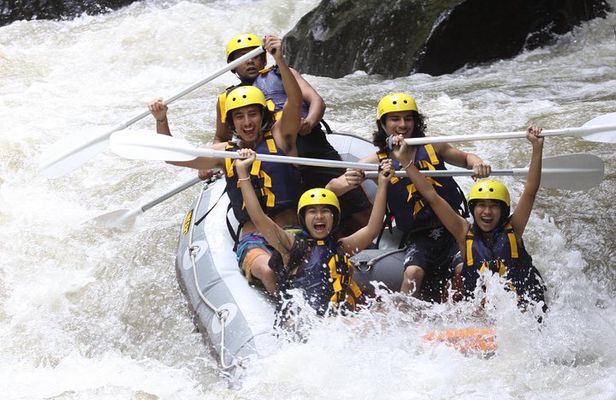Full-Day Ayung River White Water Rafting and Ubud Tour