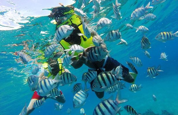 Discover Sosua's Underwater World & Beach Day