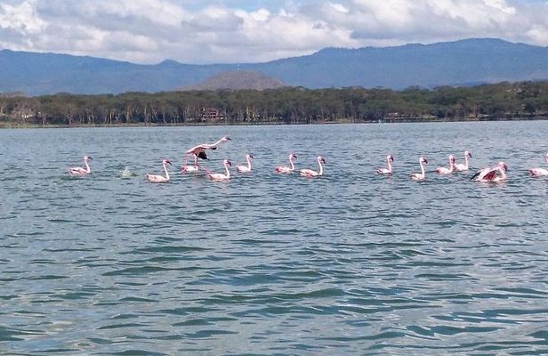 Nairobi: Day Trip to Hell's Gate National Park and Lake Naivasha 