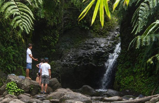 Oahu friendly hiking experience